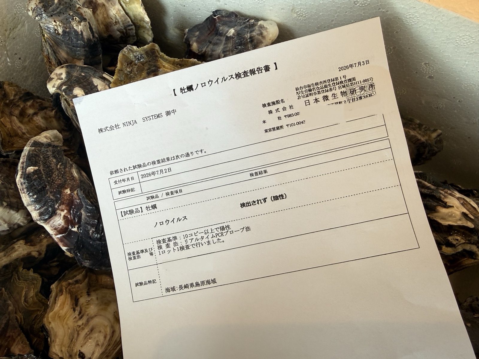 牡蠣のノロウイルス検査報告書 検出されず(陰性)